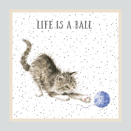 MAS10410-K, Whiskers & Paws by Hannah Dale (7/24)