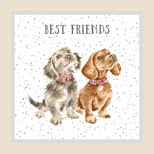 MAS10411-E, Whiskers & Paws by Hannah Dale (7/24)