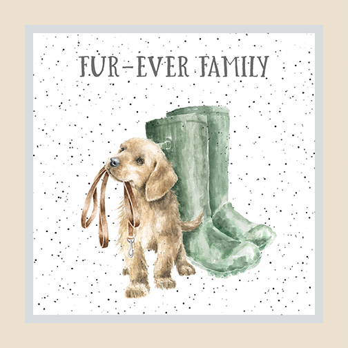 MAS10411-E, Whiskers & Paws by Hannah Dale (7/24)