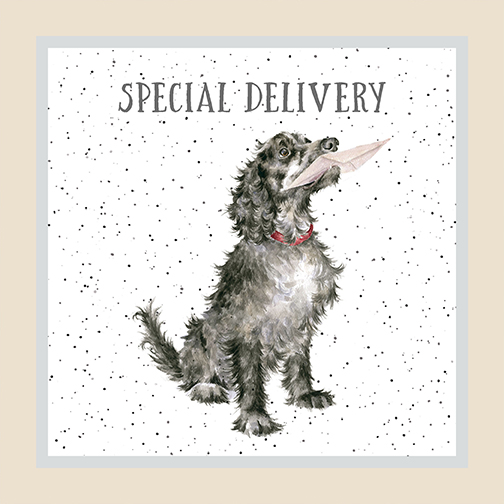 MAS10411-E, Whiskers & Paws by Hannah Dale (7/24)