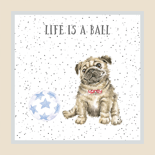 MAS10411-E, Whiskers & Paws by Hannah Dale (7/24)