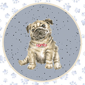 MAS10413-Z, Whiskers & Paws by Hannah Dale (7/24)