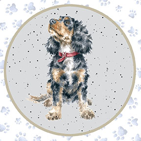 MAS10413-Z, Whiskers & Paws by Hannah Dale (7/24)