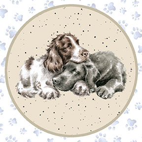 MAS10413-Z, Whiskers & Paws by Hannah Dale (7/24)