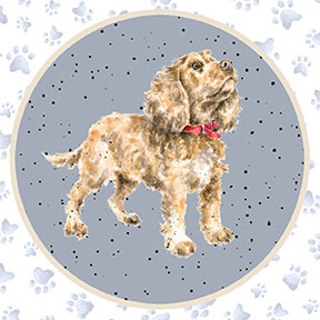 MAS10413-Z, Whiskers & Paws by Hannah Dale (7/24)