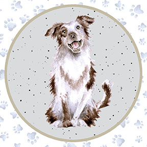 MAS10413-Z, Whiskers & Paws by Hannah Dale (7/24)