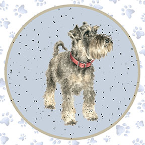 MAS10413-Z, Whiskers & Paws by Hannah Dale (7/24)