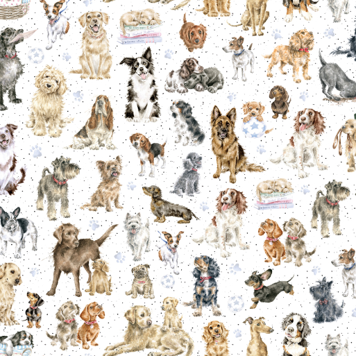 MAS10415-W, STOCK! Whiskers & Paws (8/24)