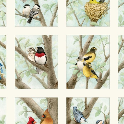 ELS4309-CRE, Beautiful Birds, by Elizabeth's Studio