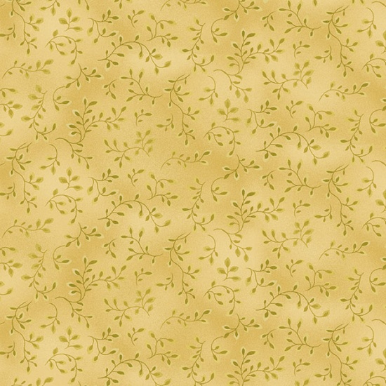 HG-7755-64, Folio Basics