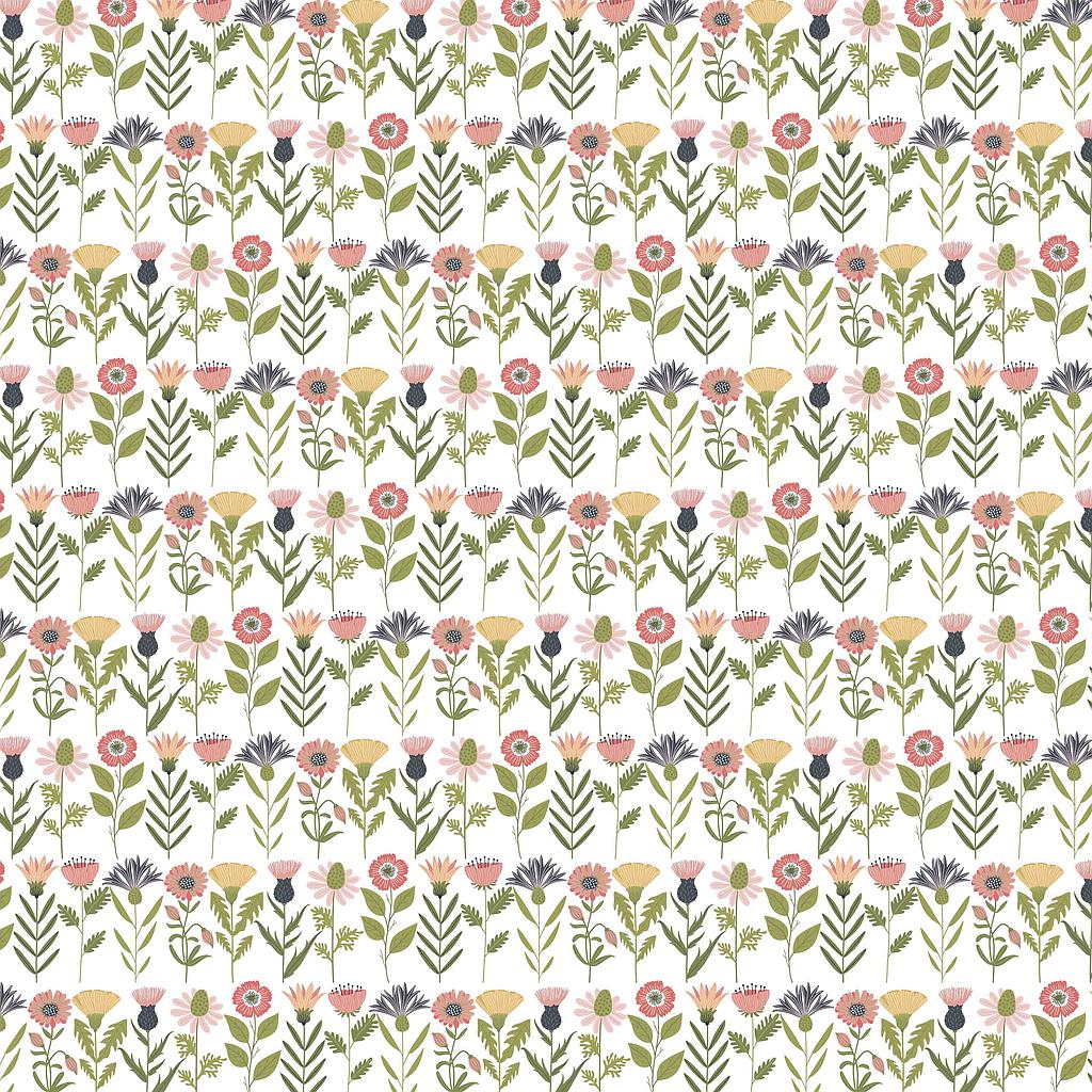 PC-DM20106, Daisy Mae