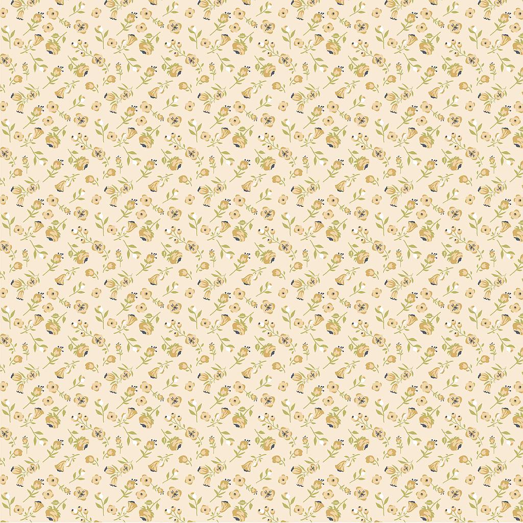 PC-DM20111, Daisy Mae