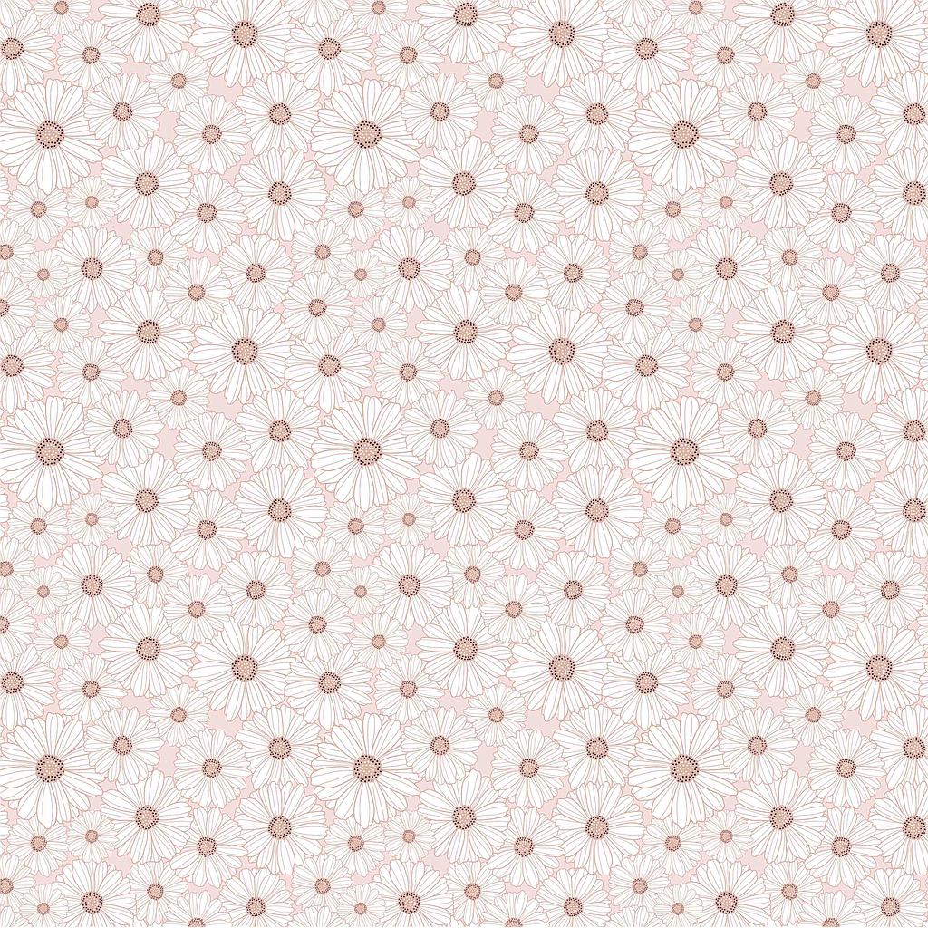 PC-DM20113, Daisy Mae