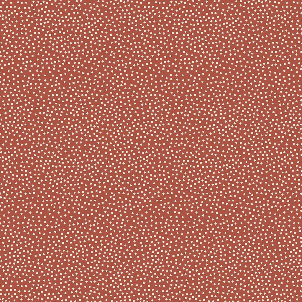 2GZ-DV3401, Birdhouse Basics , STOCK