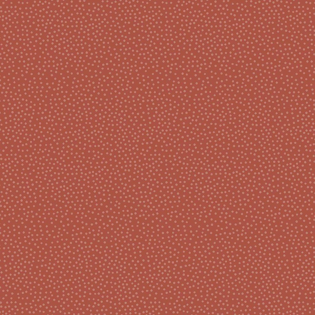 2GZ-DV3403, Birdhouse Basics , STOCK