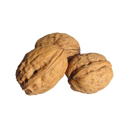 Ground Walnut Shells, 300 Grams