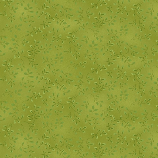 HG-7755-62, Folio Basics